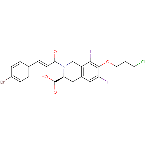PNG