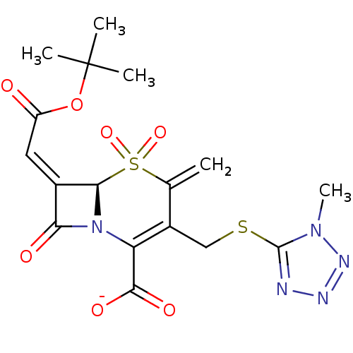 PNG