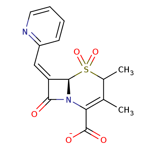 PNG