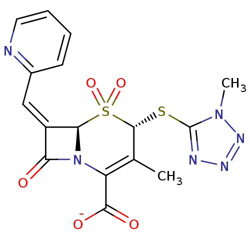 PNG