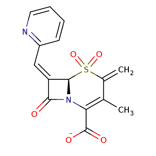 PNG