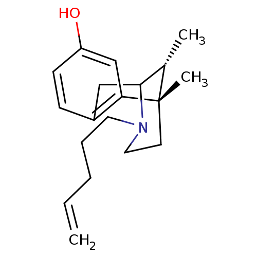 PNG