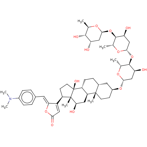 PNG