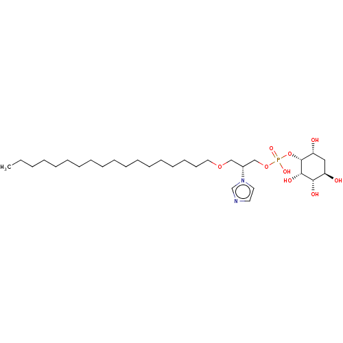 PNG