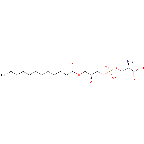 PNG