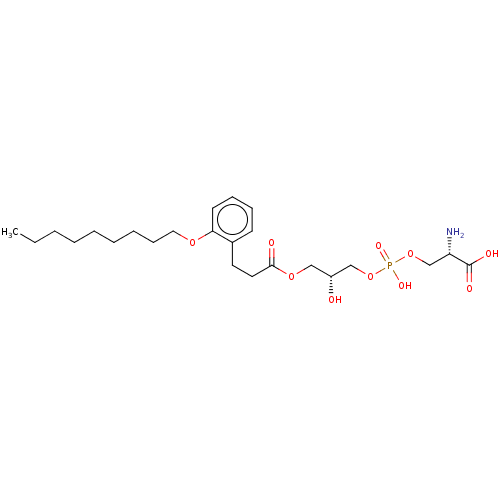 PNG