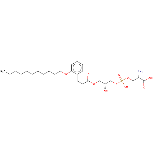 PNG