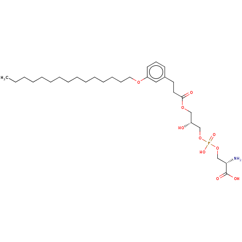 PNG