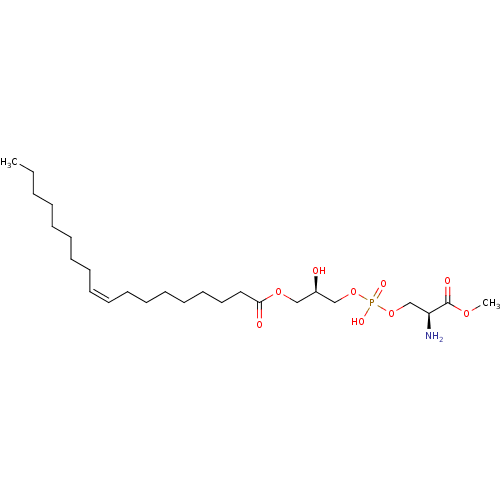 PNG