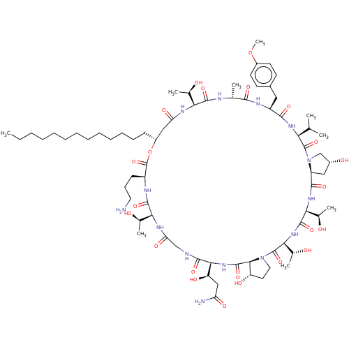PNG