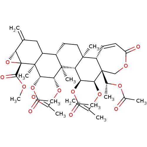 PNG