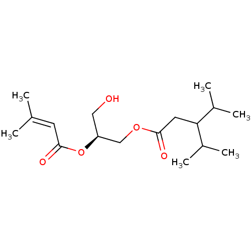 PNG