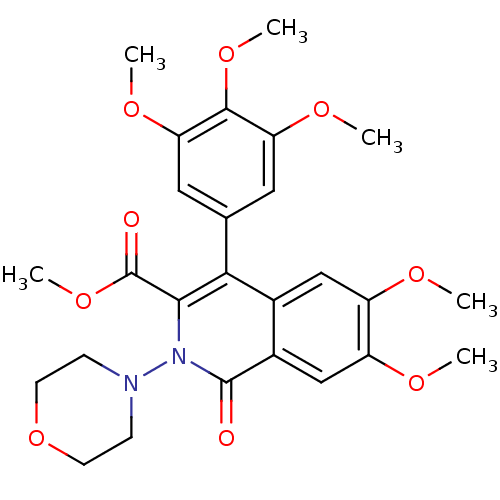 PNG