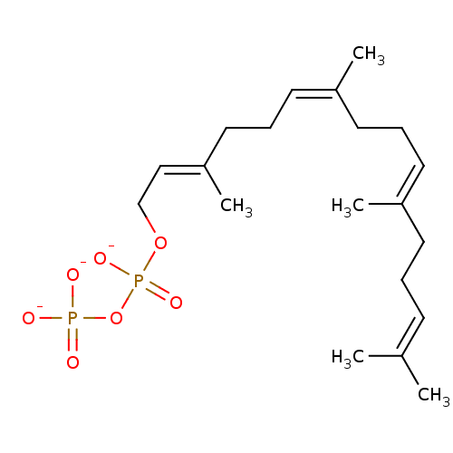 PNG