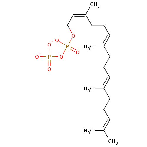 PNG