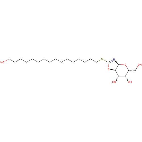 PNG