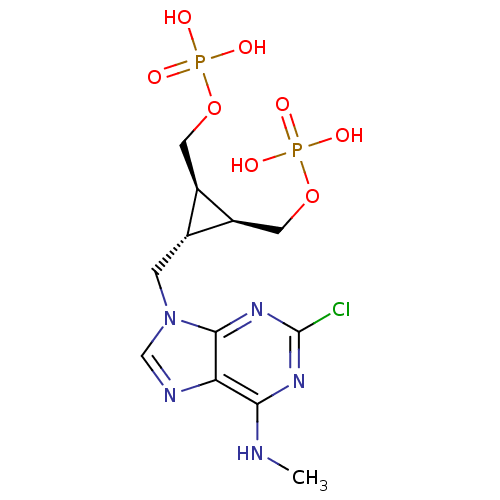 PNG