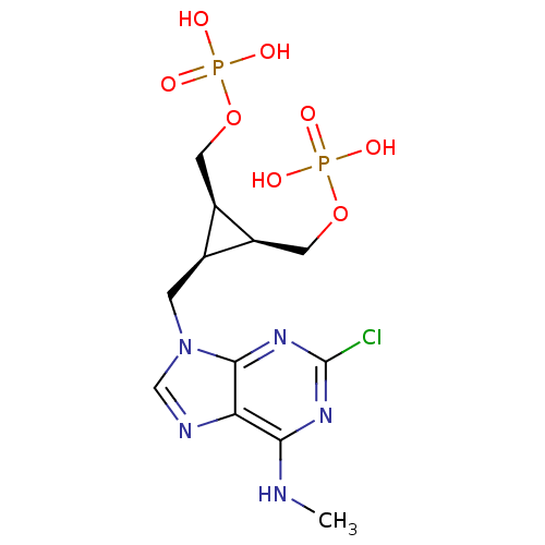 PNG
