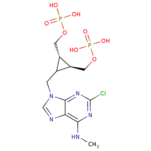 PNG