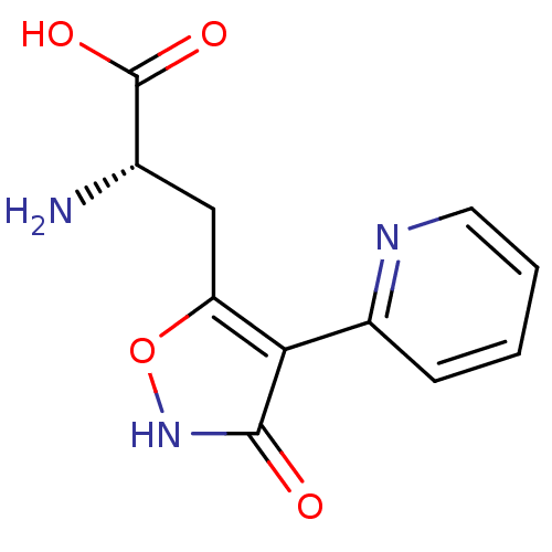 PNG