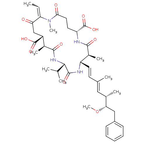 PNG