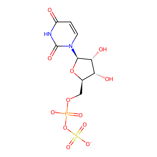 PNG