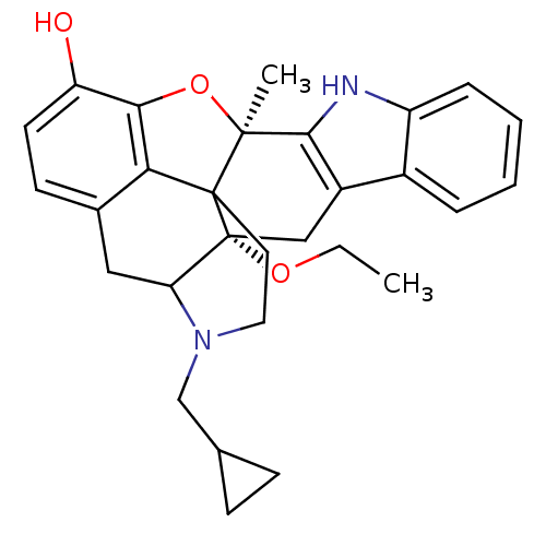 PNG