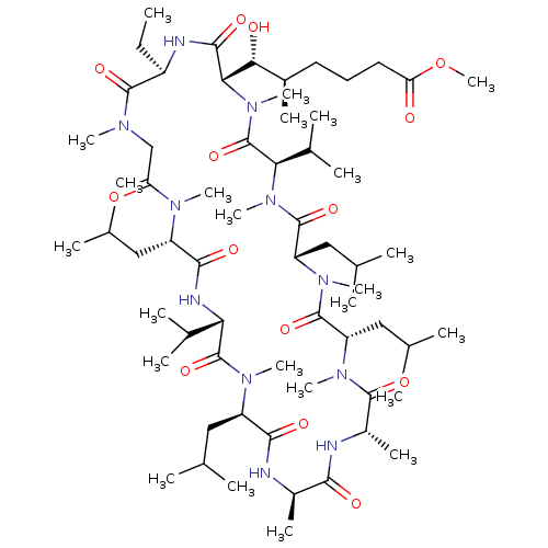 PNG