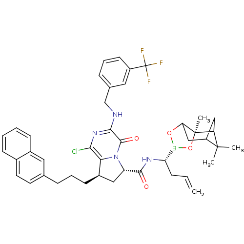 PNG