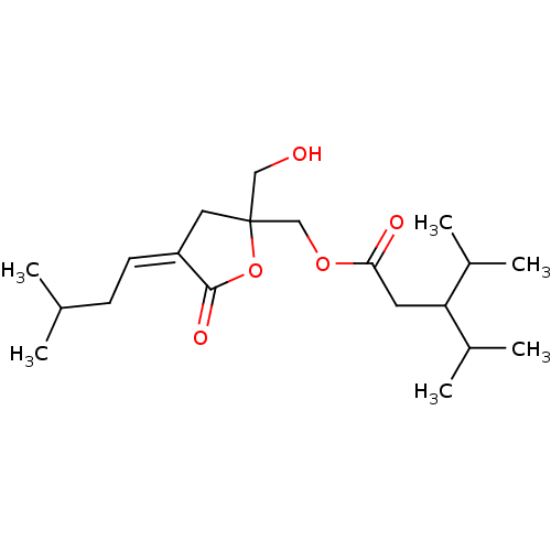 PNG