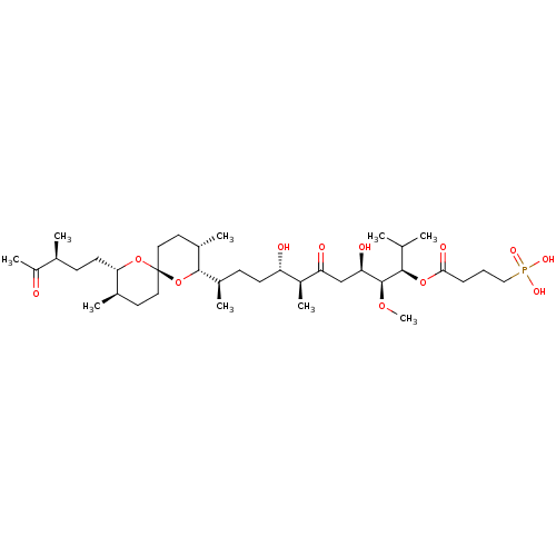 PNG