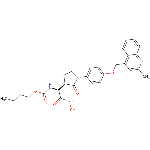 PNG