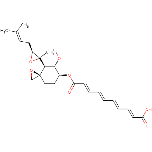 PNG