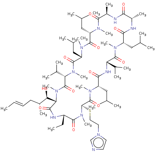 PNG
