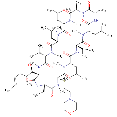 PNG