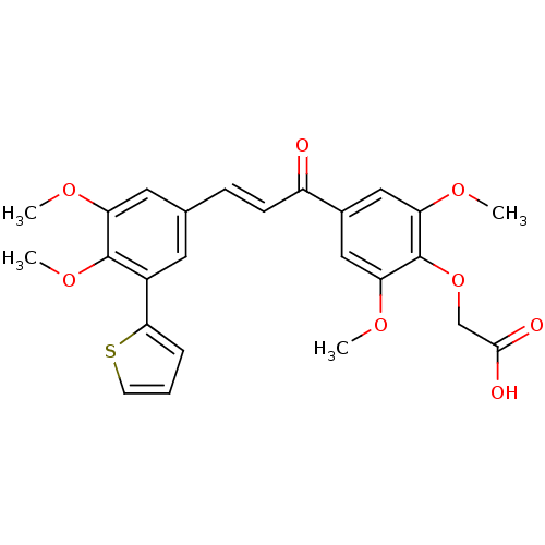 PNG