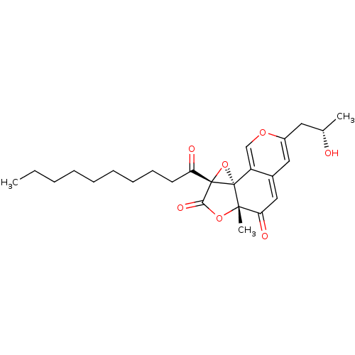 PNG
