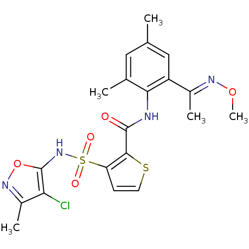 PNG