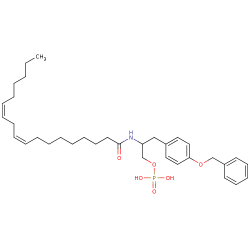 PNG