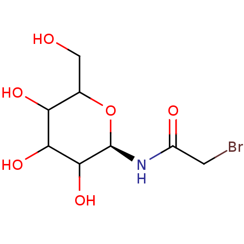 PNG