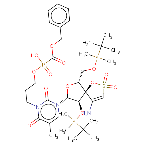 PNG