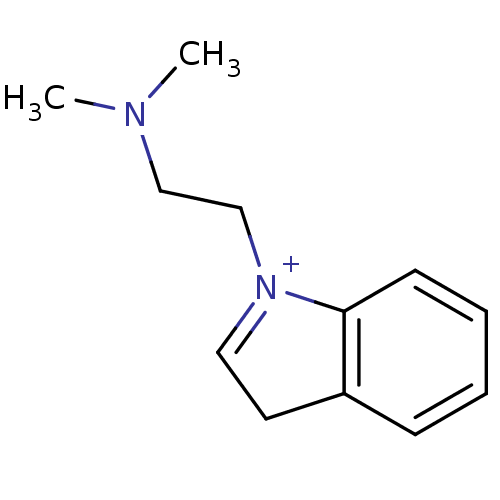 PNG
