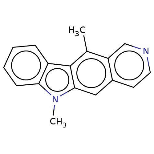 PNG