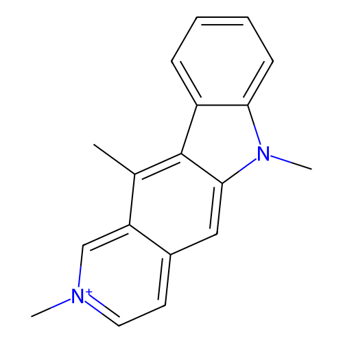 PNG
