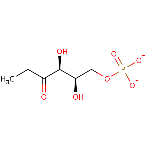 PNG