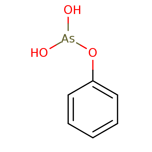 PNG