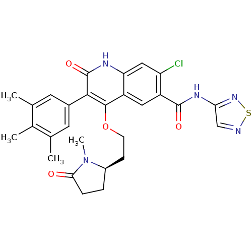 PNG