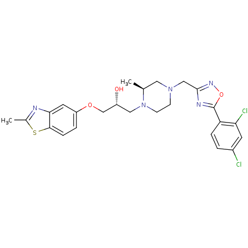 PNG