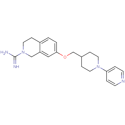 PNG