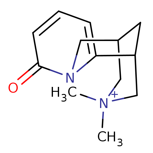 PNG